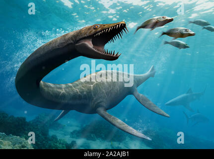 Thalassomedon is hunting fishes Stock Photo