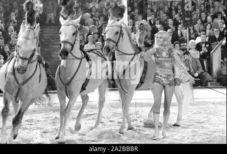 The American singer Peggy March performs with white horses on the TV show 'Stars in der Manege' in 1971. Stock Photo