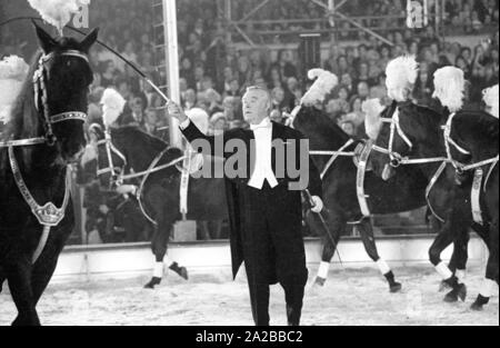 Black horses in the TV show 'Stars in der Manege' in 1971. Stock Photo