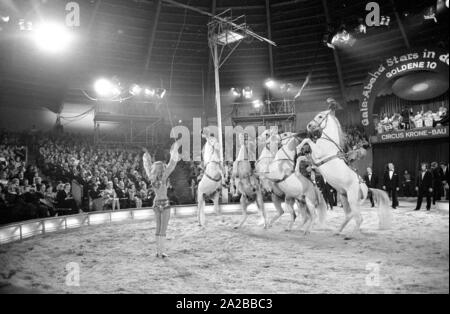 The American singer Peggy March performs with white horses on the TV show 'Stars in der Manege' in 1971. Stock Photo