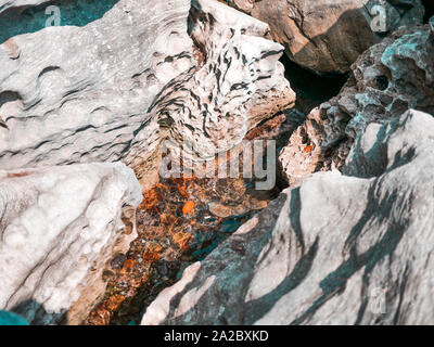Colorful rock texture surface and water at the natural ocean in daylight Stock Photo