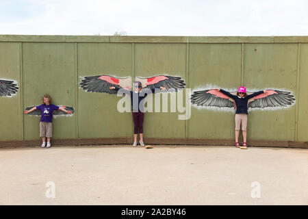 Construction site hoarding / building work works fence painted with the wings / wing span / wing spans of various large birds, with children / kids holding their arms out in comparison (110) Stock Photo