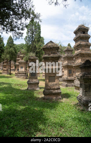 Pagoda forest in Shaolin temple, Dengfeng, Henan Province, China. burial place for eminent monks of temple over the centuries, and the biggest group o Stock Photo