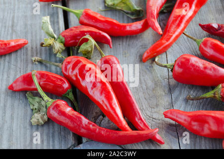 Many ripe hot red peppers on a wooden table Stock Photo