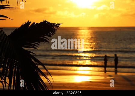 Sunset on a tropical beach, view through palm leaves to the sea and silhouette of love couple, selective focus. Dramatic orange sky with clouds Stock Photo