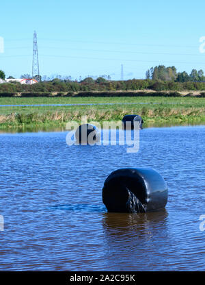 Hay bales covered in black plastic partially submerged by water in a farmers flooded field Stock Photo