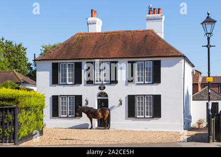 Who's looking through the window - horse standing outside Greatham House at Brockenhurst, New Forest, Hampshire, UK on a warm sunny day in September Stock Photo