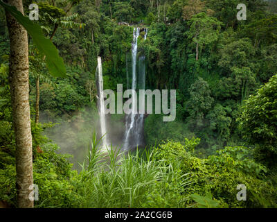 Huge water fall iin dense tropical rainforest on the island of Bali, Indonesia, surrounded by mist Stock Photo