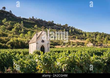 Languedoc countryside, chapel in vineyard and woods on hillside in background Stock Photo