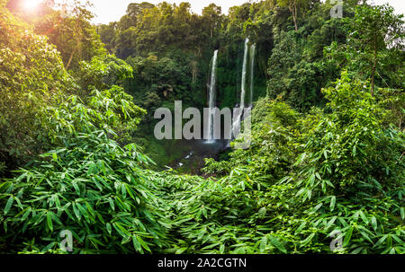 Huge water fall iin dense tropical rainforest on the island of Bali, Indonesia Stock Photo
