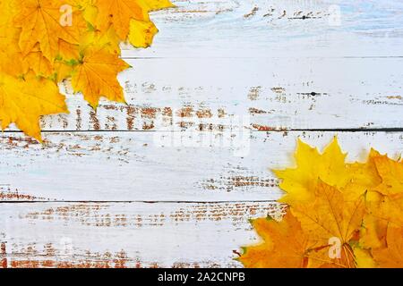 Autumn background with colored leaves on wooden board. Flat lay, top view, copy space.