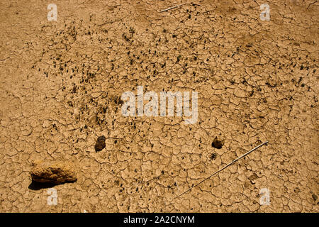 Detail of the arid and dry soil composed of sand and mud in the desert located outside the town of Tazarine in Morocco Stock Photo