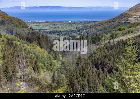 Glenariff Forest park Stock Photo