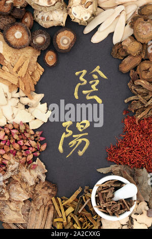 Yin and yang herb selection used in chinese herbal medicine with ...