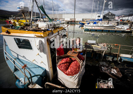 A fisherman at Warrenpoint dock hauls in bags of green crabs caught in Narrow Water to be exported to France. Uncertainty around the Irish border following the UK's departure from the EU is causing fear, residents have warned. There was concern on Wednesday over the UK's acknowledgement there would be new customs checks for cross-border trade. Stock Photo