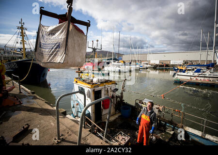 A fisherman at Warrenpoint dock hauls in bags of green crabs caught in Narrow Water to be exported to France. Uncertainty around the Irish border following the UK's departure from the EU is causing fear, residents have warned. There was concern on Wednesday over the UK's acknowledgement there would be new customs checks for cross-border trade. Stock Photo