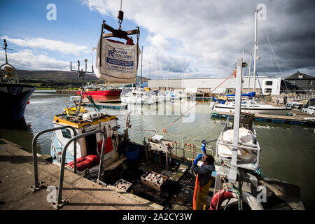 A fisherman at Warrenpoint dock hauls in bags of green crabs caught in Narrow Water to be exported to France. Uncertainty around the Irish border following the UK's departure from the EU is causing fear, residents have warned. There was concern on Wednesday over the UK's acknowledgement there would be new customs checks for cross-border trade. Stock Photo