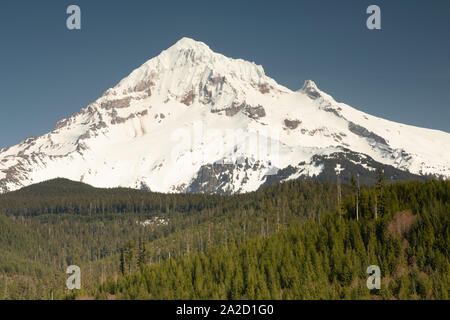View of Mount Shasta, Siskiyou County, California, USA Stock Photo