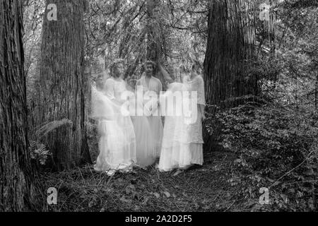 Three woman nymphs in forest, defocused,  Bainbridge Island, Washington, USA Stock Photo