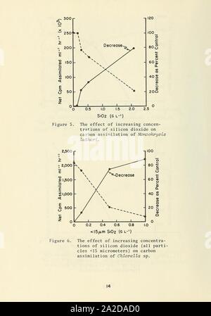 Effects of suspended solids on selected estuarine plankton (Page 14) Stock Photo