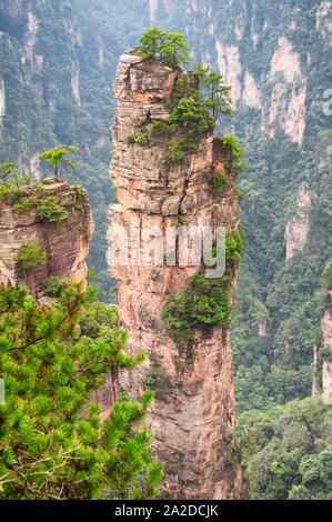 the unusal rock formations and pillars of the Zhangjiajie forest park in Hunan Province China. Stock Photo