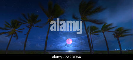 A beautiful Harvest Moon rises over the Atlantic Ocean near Fort Lauderdale Beach. Stock Photo