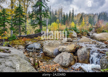 First snowfall in October mountain forest with  creek, streaming between big boulders and waterfall. Multicolored autumn landscape and white snow on f Stock Photo