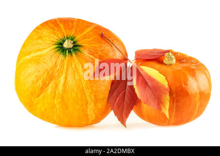 Pumpkin. Hokkaido pumpkins with fall  leaf on white background Stock Photo