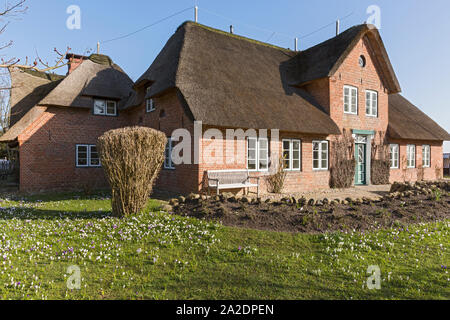 Keitum, Friesenhaus, Kapitänshaus am Watt Stock Photo