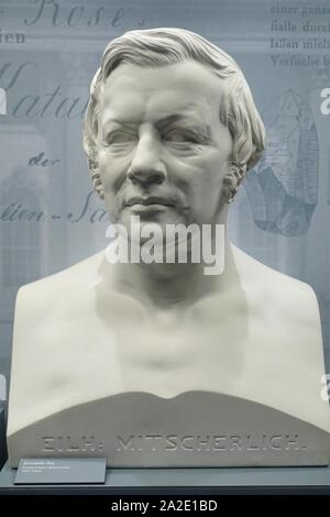 Eilhard Mitscherlich by Elisabeth Ney, 1863 Stock Photo
