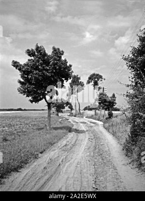 Landstraße vor Sassau im Samland, Ostpreußen, 1930er Jahre. Country road before Sassau in Sambia, East Prussia, 1930s. Stock Photo