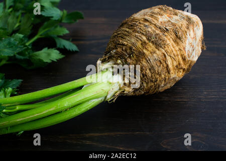 Celery Root with Stems and Leaves: Raw celeriac bulb with stems and leaves on a dark wood background Stock Photo