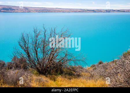 turquoise water of lake Pukaki, New Zealand Stock Photo