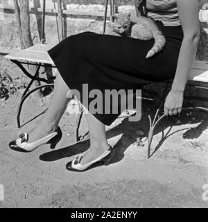 Eine kleine Katze auf dem Schoß einer Frau, Deutschland 1930er Jahre. A kitten on the lap of a woman, Germany 1930s. Stock Photo