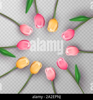 Realistic 3d pink tulip flowers arrangement in circle shape on isolated transparent background. Spring season concept for romantic or feminine design. Stock Vector