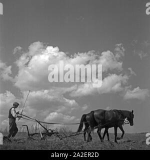 Ein Bauer bewirtschaftet seinen Acker in der Nähe von Hohenstein in Ostpreußen, Deutschland 1930er Jahre. A farmer ploghing his field near Hohenstein near East Prussia, Germany 1930s. Stock Photo