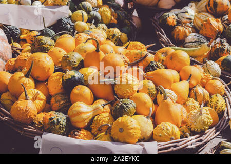 Decorative mini pumpkins and gourds in baskets on green market stand Stock Photo