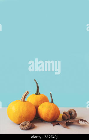Mini pumpkins on white table, against teal background; autumn/halloween background with copy space Stock Photo