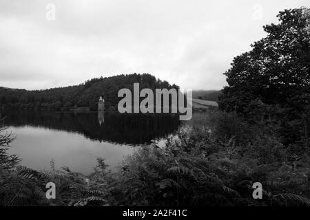 A view across Lake Vyrnwy toward the Victorian Straining Tower on a calm still morning overcast grey sky reflections of pine forest on water Stock Photo