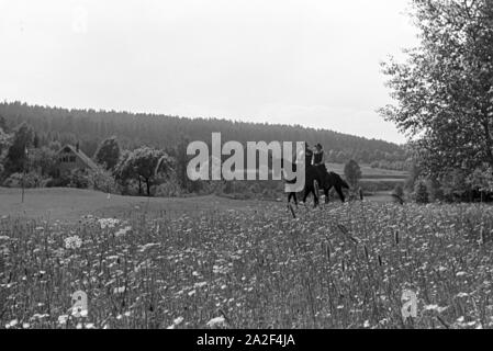 Reiter bei einem Reitausflug im Wald bei Freudenstadt, Deutschland 1930er Jahre. Riders on a horse-riding trip in the woods near Freudenstadt, Germany 1930s. Stock Photo