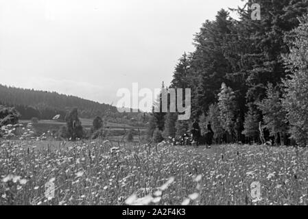 Reiter bei einem Reitausflug im Wald bei Freudenstadt, Deutschland 1930er Jahre. Riders on a horse-riding trip in the woods near Freudenstadt, Germany 1930s. Stock Photo