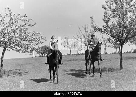 Reiter bei einem Reitausflug im Wald bei Freudenstadt, Deutschland 1930er Jahre. Riders on a horse-riding trip in the woods near Freudenstadt, Germany 1930s. Stock Photo