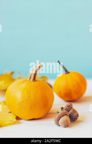 Mini pumpkins on white table, against teal background; autumn/halloween background with copy space Stock Photo