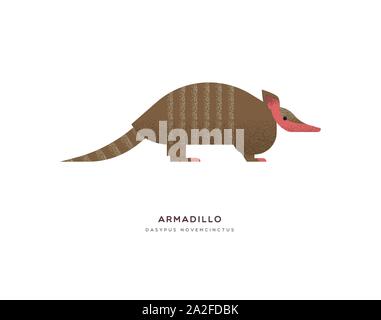 Banded armadillo illustration on isolated white background, south america zoo animal concept. Educational wildlife design with fauna species name labe Stock Vector