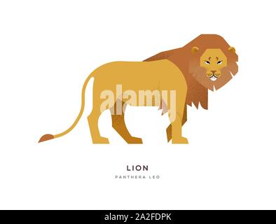 African lion illustration on isolated background, africa safari or zoo animal concept. Educational wildlife design with fauna species name label. Stock Vector