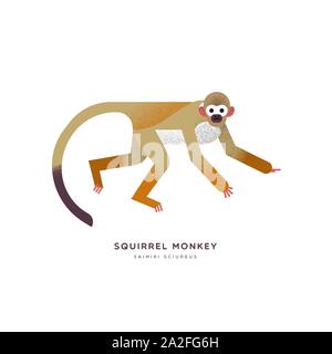 Squirrel monkey animal illustration on isolated white background. Educational wildlife design with fauna species name label. Stock Vector