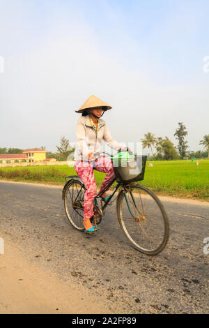 Hoi An, Vietnam - March 3rd 2010: Woman riding a bicycle through the rice fields. Cycling is still a popular form of transport. Stock Photo