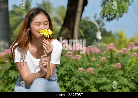 A Pretty Woman Smelling Flower Stock Photo