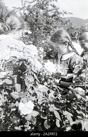 Schülerinnen des Kolonial Schülerheims Harzburg bei der Gartenarbeit, Deutsches Reich 1937. Students of the colonial residential school Harzburg working in the garden; Germany 1937. Stock Photo