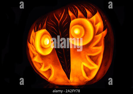 Jack O Lantern Halloween pumpkin on black background. Front view. Stock Photo